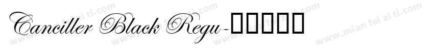 Canciller Black Regu字体转换